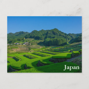 Carte Postale Riz Paddy Field au Japon