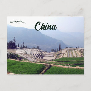 Carte Postale Rizières de Qingkou dans le Yunnan en Chine