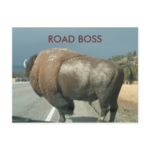 Carte postale ROAD BOSS