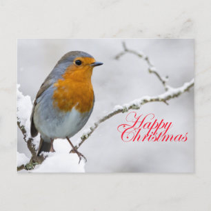 Carte Postale Robbin Redsein