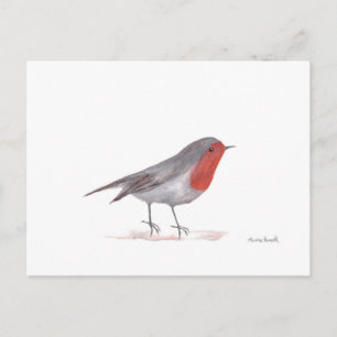 Carte Postale Robin