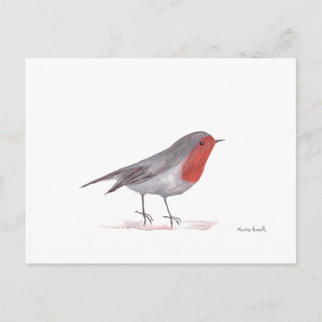 Carte Postale Robin (Devant)