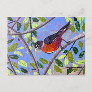 Carte Postale Robin