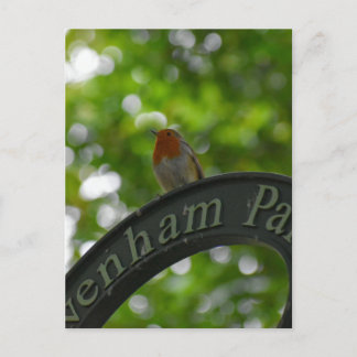 Carte Postale Robin
