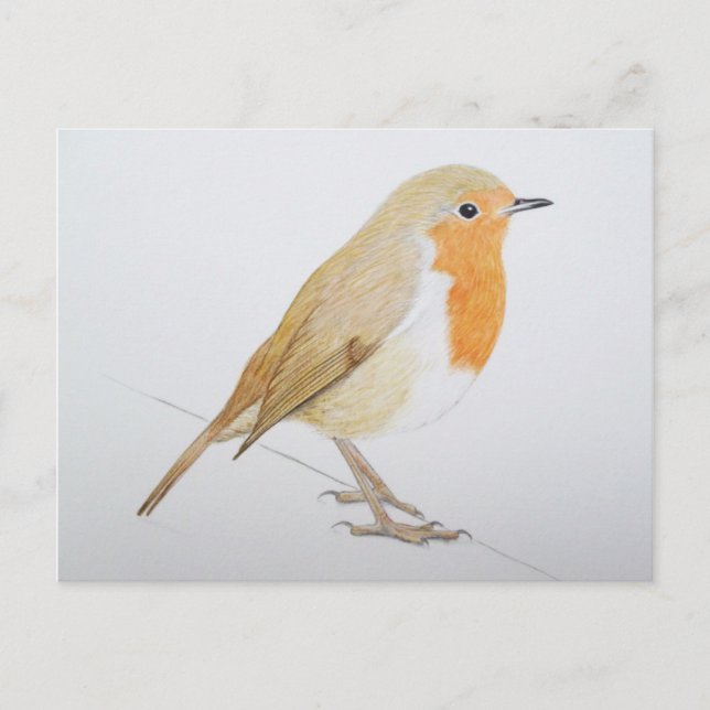 Carte Postale Robin 2011 (Devant)