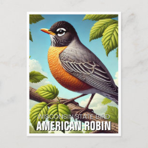 Carte Postale Robin américain Oiseau du Wisconsin