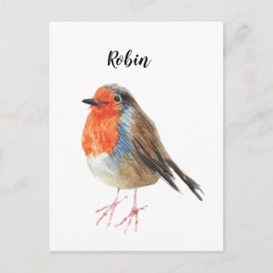 Carte Postale Robin aquarelle peint oiseau. Belle carte.