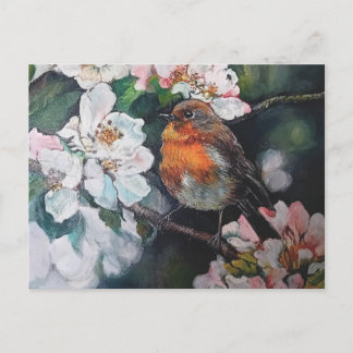 Carte Postale Robin aux fleurs de cerisier
