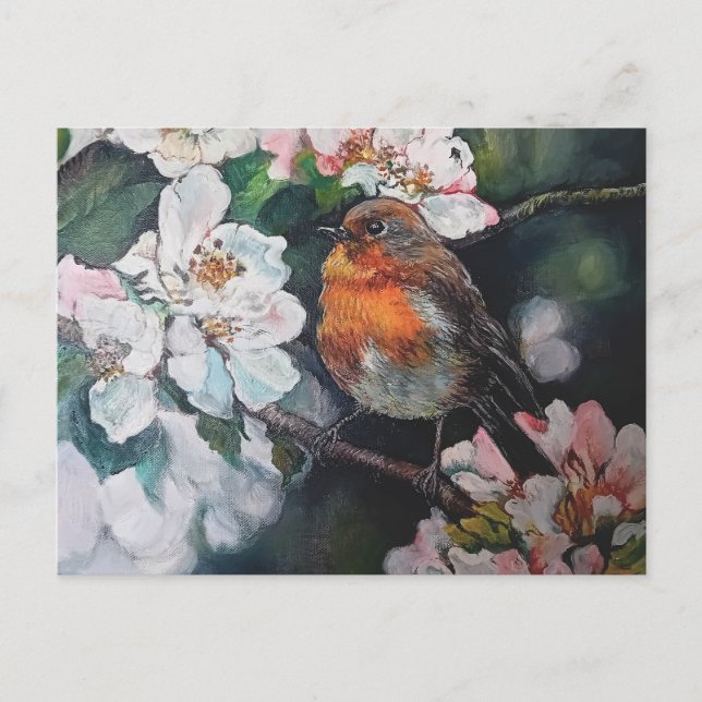 Carte Postale Robin aux fleurs de cerisier (Devant)