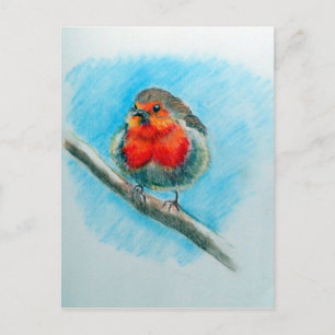 Carte Postale Robin de Noël mignon