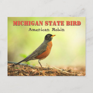 Carte Postale Robin d'oiseaux de l'État du Michigan