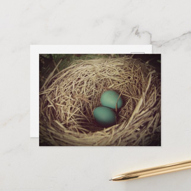 Carte Postale Robin Eggs in a Nest (Devant/Arrière en situation)