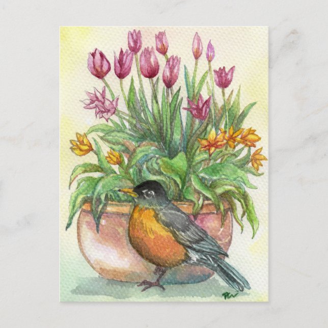 Carte Postale Robin et Tulipes (Devant)