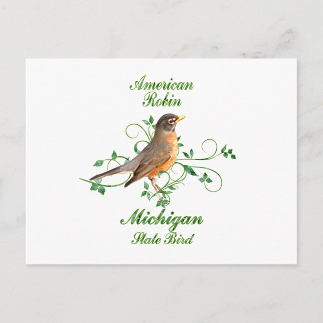 Carte Postale Robin Michigan State Bird (Devant)
