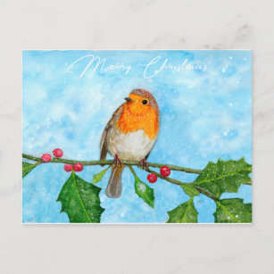 Carte postale Robin Red Breast Watercolor Painting