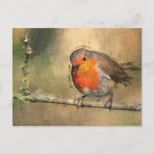 Carte Postale Robin Redbreast