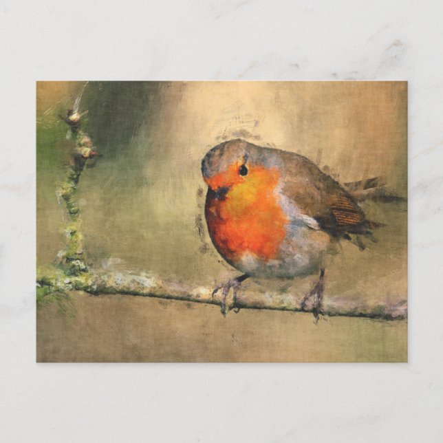 Carte Postale Robin Redbreast (Devant)