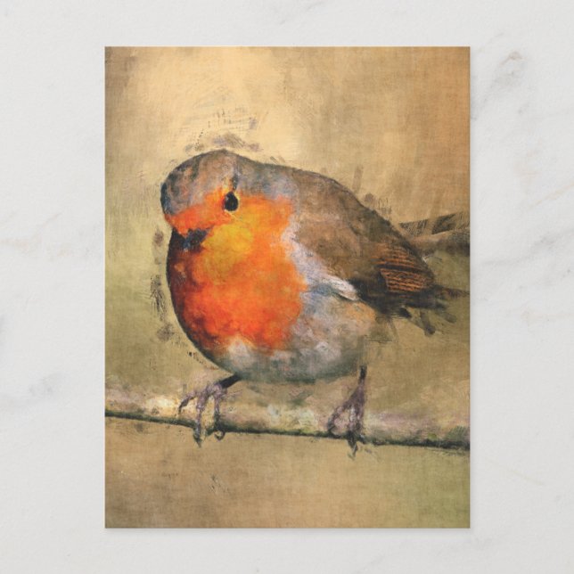 Carte Postale Robin Redmamin (Devant)