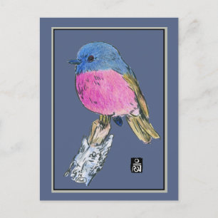 Carte Postale Robin rose Colorful Petit Oiseau