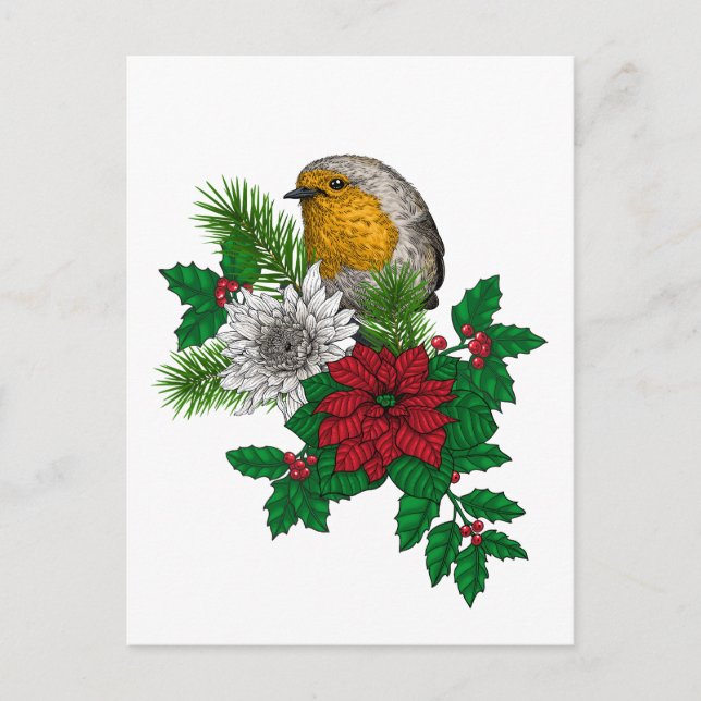 Carte Postale Robin rouge sur décoration de Noël (Devant)