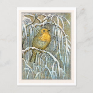 Carte Postale Robin sur branche d'arbre neigeux