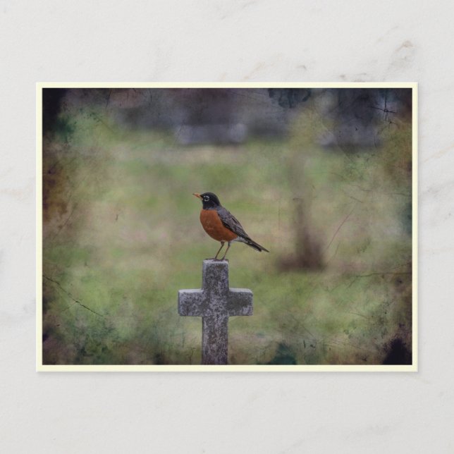 Carte Postale Robin sur une croix (Devant)