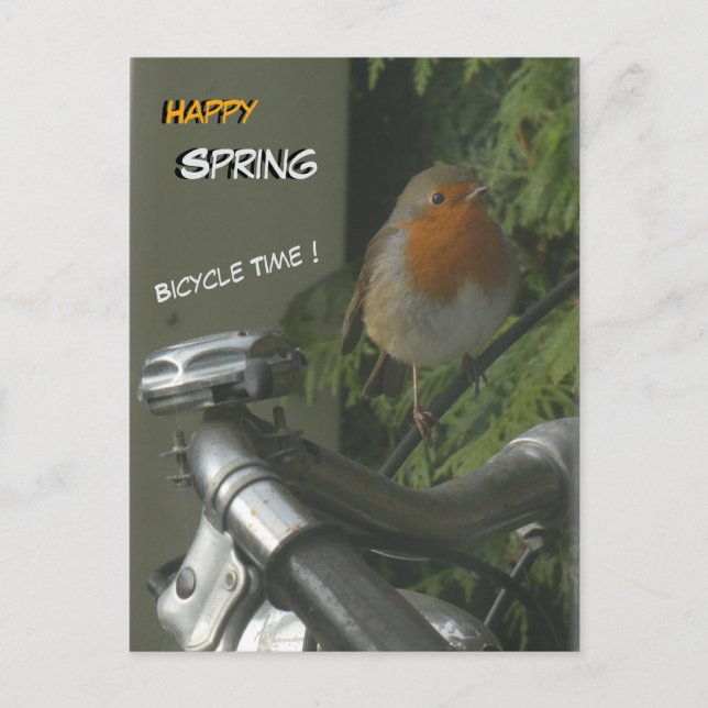 Carte Postale Robin sur vélo fermer Happy Spring Postcard (Devant)