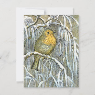 Carte Postale Robin vintage sur une branche enneigée