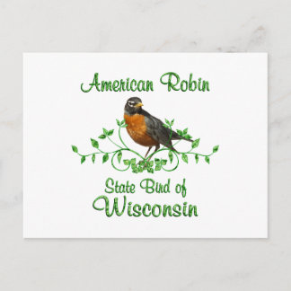 Carte Postale Robin Wisconsin Bird