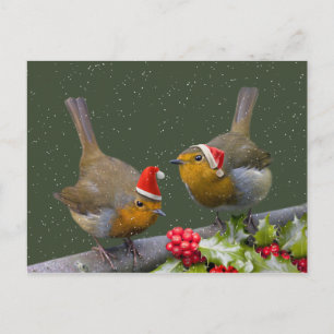 Carte postale Robins Bobbin