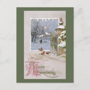 Carte Postale Robins européens à la porte du village