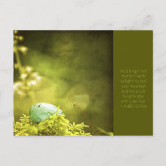 Carte Postale Robins Oeuf sur la mousse photo avec une citation