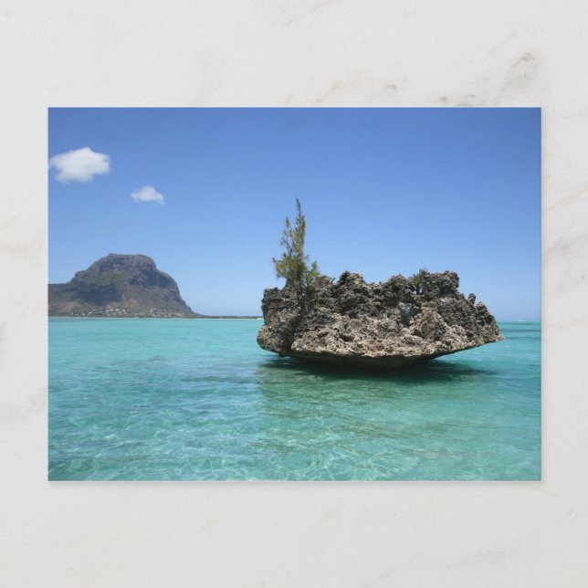 Carte Postale Roche cristalline composée de corail (Devant)