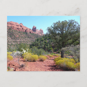 Carte Postale Rochers rouges et cactées II à Sedona Arizona