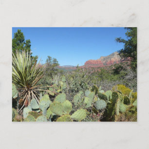 Carte Postale Rochers rouges et cactus I
