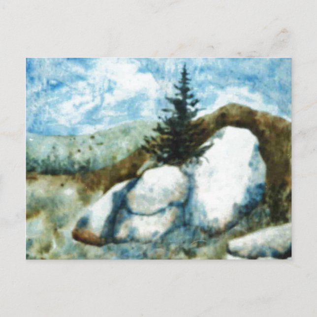 Carte postale Roches et pins (Devant)