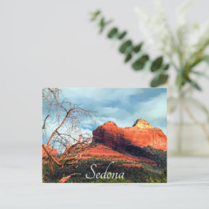 Carte Postale Roches rouges pittoresques de Sedona