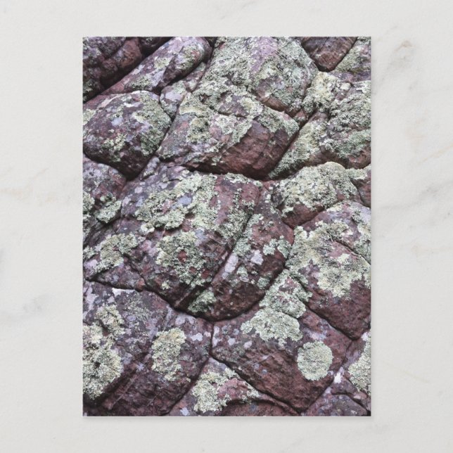 Carte Postale Roches souillées avec Lichen Moss (Devant)