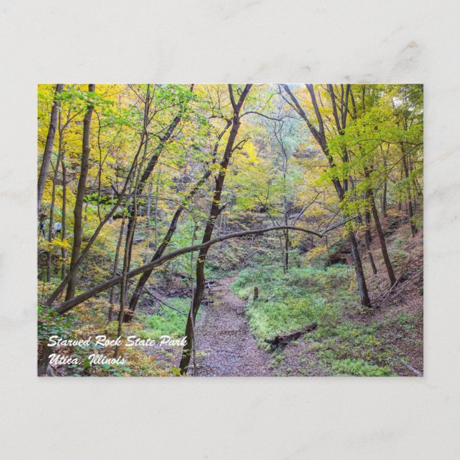 Carte postale Rock affamé (Devant)