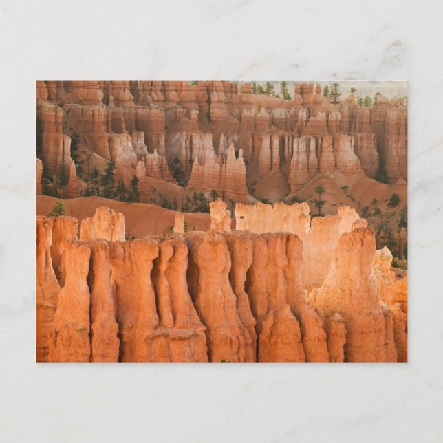 Carte Postale Rock Garden (Devant)