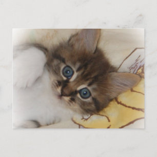 Carte postale Rocket