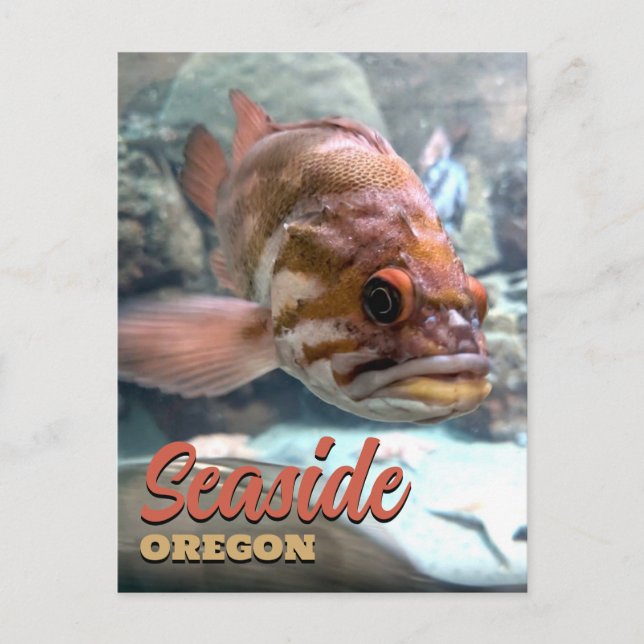 Carte Postale Rockfish de Seaside, Oregon (Devant)