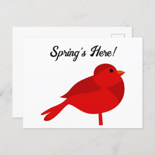 Carte Postale Rockin Robin Cardinal Rouge Cardinal mignon Enfant