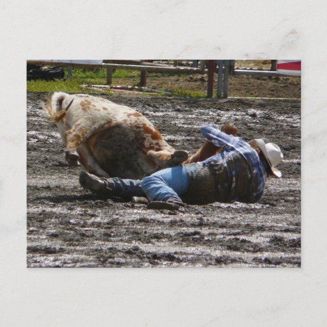 Carte Postale Rodeo Cowboy Steer Lutte (Devant)