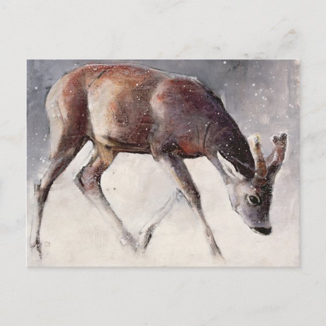 Carte Postale Roe Buck hiver 2000 (Devant)