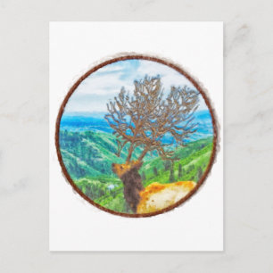 Carte Postale Roi Cervus