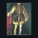 Carte Postale Roi Charles IX de France, c.1565<br><div class="desc">Charles IX de France | par Francois Clouet | Lieu de l'art : Musée Kunsthistorisches,  Vienne,  Autriche | Artiste français | Numéro de collection d'images : XAM72414</div>