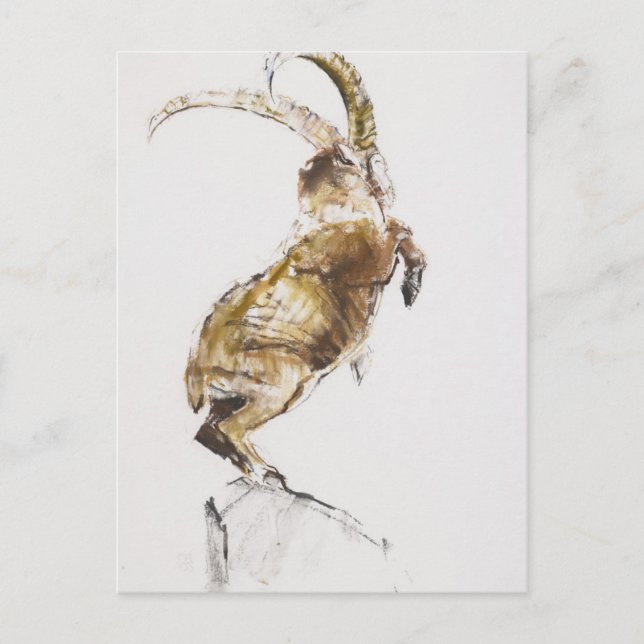 Carte Postale Roi de la Montagne 2005 (Devant)