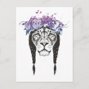 Carte Postale Roi des lions