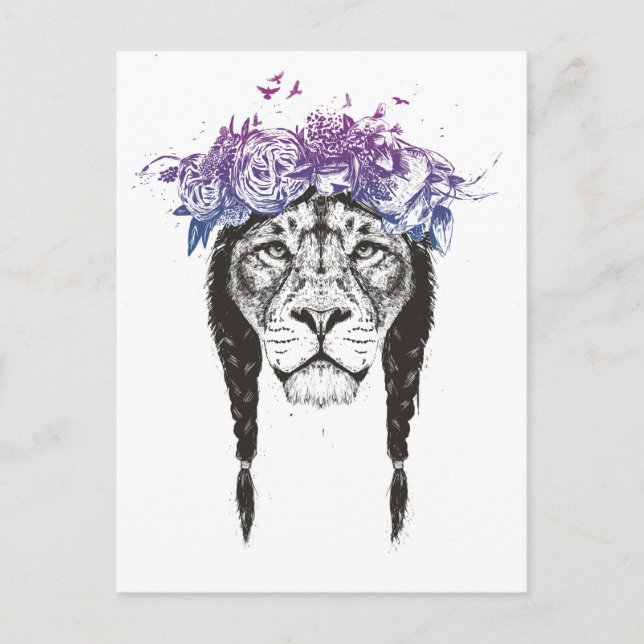 Carte Postale Roi des lions (Devant)